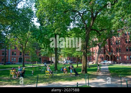 Étudiants et visiteurs dans le vieux Yard de Harvard Yard, Harvard University, Cambridge, Boston, Massachusetts, ÉTATS-UNIS Banque D'Images