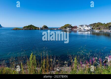Petite baie avec bateaux de pêche, route pittoresque de Senja, Norvège Banque D'Images
