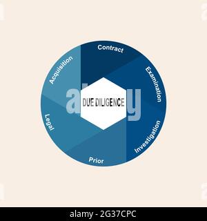 Concept de diagramme avec texte et mots clés de due diligence. EPS 10 isolé sur fond blanc Illustration de Vecteur