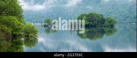 Petites îles de l'Edersee avec brouillard matinal, Ederstausee, Edertalsperre, Hesse, Allemagne Banque D'Images