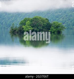 Petite île de l'Edersee avec brouillard matinal, Ederstausee, Edertalsperre, Hesse, Allemagne Banque D'Images