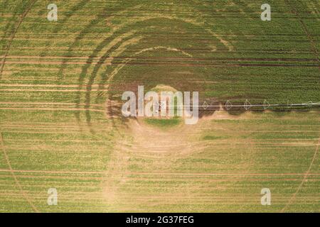 Vue aérienne de l'équipement d'irrigation à pivot central arrosant des semis de soja vert sur une plantation agricole, images de drone pov Banque D'Images