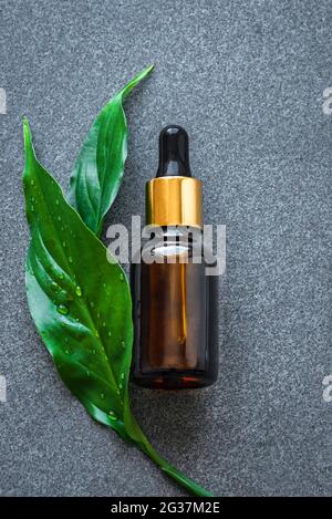 Bouteille de sérum et feuilles vertes sur fond de pierre grise. Huile essentielle, liquide, extrait de plante, sérum bio de soin de la peau gros plan. Banque D'Images