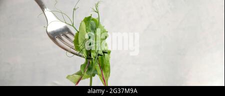 bannière avec fourchette avec différents types de salades sur table texturée blanche. Jeunes pousses juteuses de pois ou de haricots, pousses de betteraves et salade verte Banque D'Images