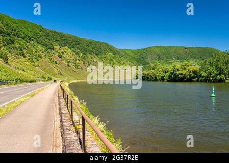 Belle vue sur la rivière qui coule entre les collines de raisin le long de la route dans l'ouest de l'Allemagne. Banque D'Images