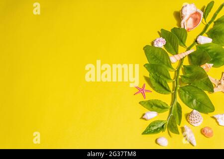 Concept de vacances d'été. Assortiment de coquillages, branches de feuilles vertes fraîches sur fond jaune vif. Une lumière dure tendance, une ombre sombre, une couche plate, un haut Banque D'Images
