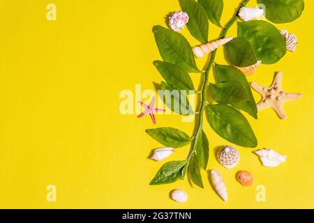 Concept de vacances d'été. Assortiment de coquillages, branches de feuilles vertes fraîches sur fond jaune vif. Une lumière dure tendance, une ombre sombre, une couche plate, un haut Banque D'Images