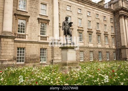 La statue d'Oliver Goldsmith et la prairie de fleurs sauvages à l'entrée de College Green pour le Trinity College à Dublin, en Irlande, en juin 2021 Banque D'Images