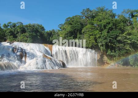 Vue hypnotique de la cascade dans la forêt à Agua, Azul, Mexique Banque D'Images