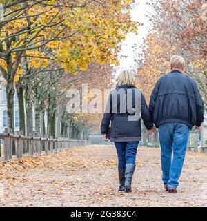 Vue arrière d'un couple marchant dans un parc d'automne à Paris Banque D'Images