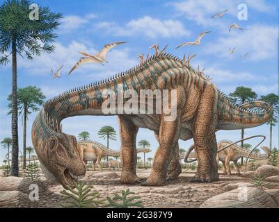 Un grand dinosaure Diplodocus paître sur des fougères, avec Pterodactylus pedging d'en haut. Banque D'Images