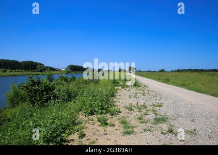 Vue sur la piste cyclable le long de la rivière Maas dans le paysage rural typique des pays-bas en été, près de Venlo, pays-Bas Banque D'Images