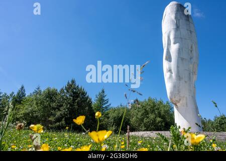 Warrington, Royaume-Uni, juin 2021 : les Buttercups poussent dans la prairie en face de la sculpture de rêve à Sutton Manor, par une journée ensoleillée. Banque D'Images