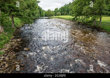 La rivière Wharfe près du pavillon Cavendish de l'abbaye de Bolton Banque D'Images