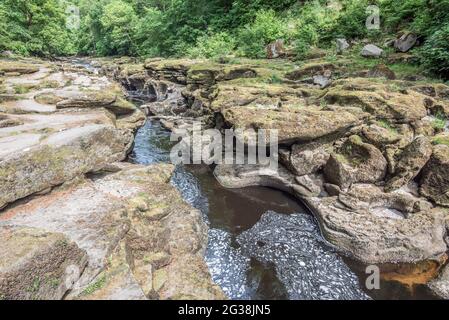 Au-dessous de la « Strid » à l'abbaye de Bolton Banque D'Images