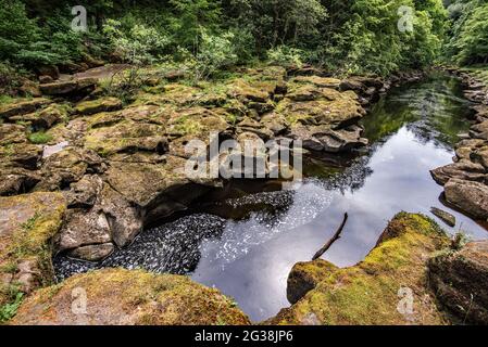 Au-dessous de la « Strid » à l'abbaye de Bolton Banque D'Images