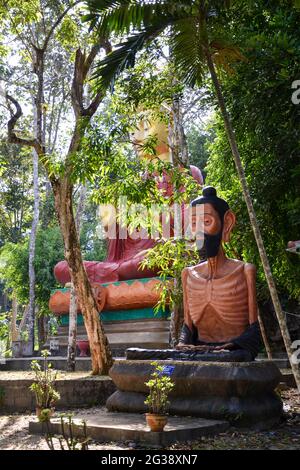 Statues de Bouddha exposées au temple Wat Tham Ta Pan. Banque D'Images