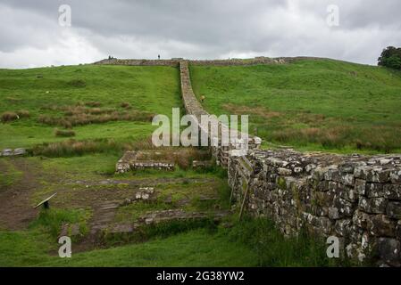 Segment du mur d'Hadrien, l'ancien mur-frontière romain à travers le nord de l'Angleterre, en ligne directe jusqu'au fort romain Housesteads sur la colline. Au premier plan, les murs de fondation de la maison de garde à Knag Burn, un ancien chemin commercial. Longeant l'ensemble du site classé au patrimoine mondial de l'UNESCO, le chemin du mur d'Hadrien est l'un des sentiers de randonnée les plus populaires d'Angleterre. Banque D'Images