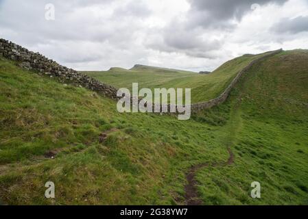 Vestiges d'un segment du mur d'Hadrien, l'ancien mur-frontière romain à travers le nord de l'Angleterre, en constante montée et descente suivant la ligne de colline à l'est du fort romain Housesteads. Longeant l'ensemble du site classé au patrimoine mondial de l'UNESCO, le chemin du mur d'Hadrien est l'un des sentiers de randonnée les plus populaires d'Angleterre. Banque D'Images