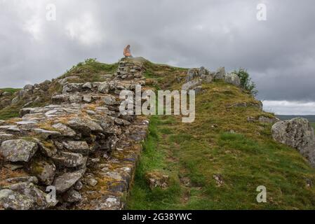 Vestiges d'un segment du mur d'Hadrien, l'ancien mur frontalier romain traversant le nord de l'Angleterre, sur les falaises de Sewingshields Crags près de Milecastle 35 à l'est du fort romain Housesteads. Longeant l'ensemble du site classé au patrimoine mondial de l'UNESCO, le chemin du mur d'Hadrien est l'un des sentiers de randonnée les plus populaires d'Angleterre. Banque D'Images