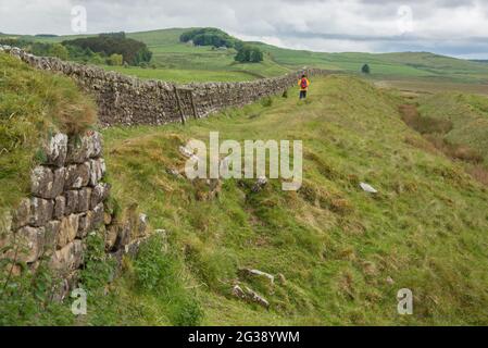 Vestiges d'un segment du mur d'Hadrien, l'ancien mur frontalier romain traversant le nord de l'Angleterre près de Milecastle 33 à l'est du fort romain Housesteads. Longeant l'ensemble du site classé au patrimoine mondial de l'UNESCO, le chemin du mur d'Hadrien est l'un des sentiers de randonnée les plus populaires d'Angleterre. Banque D'Images