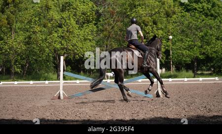 Jeune homme cavalier sur cheval brun en compétition de sport équestre. Équitation sur l'arène. Test de dressage. Compétitions équestres, équitation.Man JO Banque D'Images