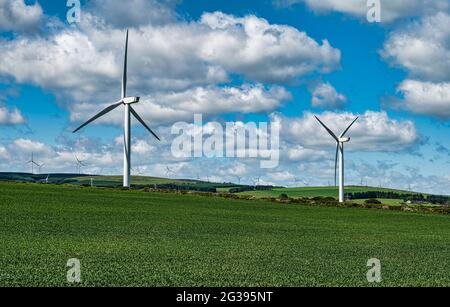 Éoliennes dans un paysage agricole ensoleillé et parc éolien au sommet des collines, Berwickshire, frontières écossaises, Écosse, Royaume-Uni Banque D'Images