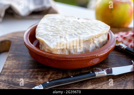 Collection de fromages, fromages français de la région normande, neufchatel en forme de coeur gros plan Banque D'Images