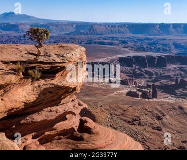 Vue depuis Grand View point, Parc national de Canyonlands, Utah, États-Unis Banque D'Images