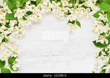 Jasmin, Philadelphus ou fleurs de fausse orange encadrent sur un fond en bois blanc. Espace de copie, vue de dessus. Carte de vœux. Été, printemps arrière-plan. Banque D'Images
