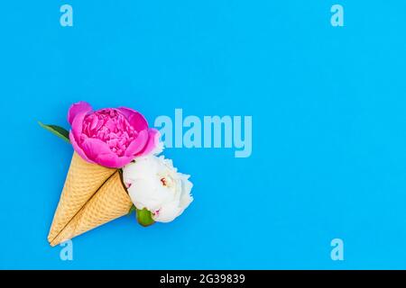 Fleurs de pivoine dans un cône de glace gaufré sur un fond bleu vif. Fête des mères, Saint Valentin, Bachelorette, concept d'été. Espace de copie, vue de dessus. Banque D'Images