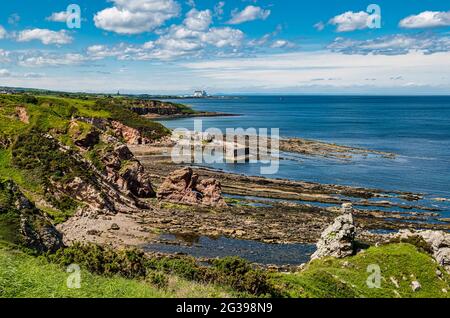 Vue sur le port de Cove et la centrale nucléaire de Torness à distance par temps ensoleillé, frontières écossaises, Écosse, Royaume-Uni Banque D'Images