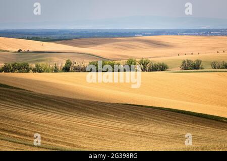 Toscane morave, paysage agricole dans le sud de la République tchèque Banque D'Images