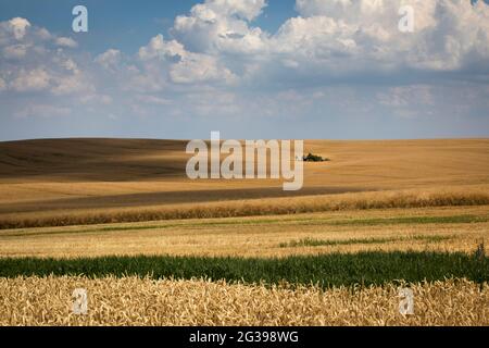 Toscane morave, paysage agricole dans le sud de la République tchèque Banque D'Images