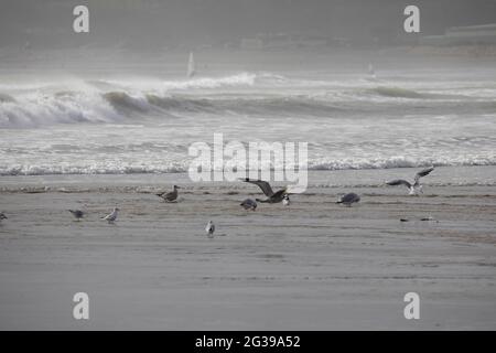 Grandes vagues de surf à Fistral Beach Newquay Cornwall Banque D'Images