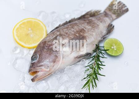 Poisson de fruits de mer frais cru pour la nourriture cuite, poisson de tétras sur glace avec citron de romarin Banque D'Images