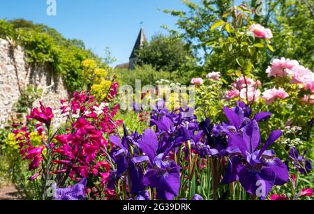 Superbes fleurs et feuillages de l'iris, photographiés à la Maison de Monk, dans le jardin de la maison de Woolf en Virginie, à Rodmell, dans l'est du Sussex, au Royaume-Uni. Banque D'Images