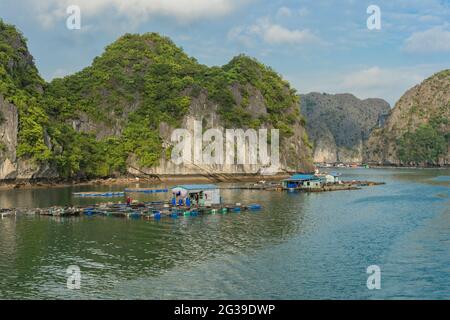 Une série de maisons flottantes sur l'eau à Ha long Bay, Vietnam Banque D'Images
