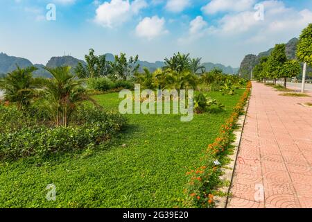 Un jardin coloré le long de la route et du sentier dans la région de Tam COC de la province de Ninh binh au Vietnam Banque D'Images