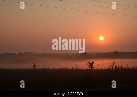 lever de soleil sur un terrain brumeux Banque D'Images