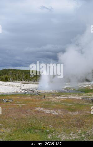 Fin du printemps à Yellowstone : le geyser de la falaise du groupe Emerald dans la zone du bassin de sable noir du bassin supérieur du Geyser éclate le long du ruisseau Iron Spring Banque D'Images