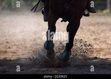 Un pilote à cheval traverse une arène pendant une foire du comté. Banque D'Images