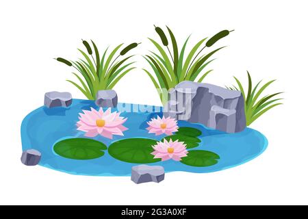 Lac avec eau calme, fleurs de nénuphars, taureaux et pierres de style caricatuaire isolé sur fond blanc. Bassin naturel extérieur. . Illustration vectorielle Illustration de Vecteur