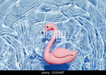 Jouet rose flamant dans une piscine. Vue de dessus Banque D'Images