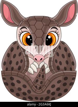 Dessin animé mignon bébé armadillo roulé Illustration de Vecteur