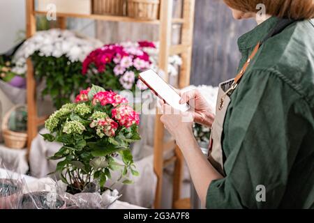 Mains fleuriste tenant un smartphone. Elle accepte la commande en utilisant les technologies Internet. Lieu de travail du fleuriste. Concept de petite entreprise. Fleurs et accessoires Banque D'Images