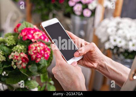 Gros plan mains fleuriste tenant un smartphone. Elle accepte la commande en utilisant les technologies Internet. Lieu de travail du fleuriste. Concept de petite entreprise. Fleurs et Banque D'Images