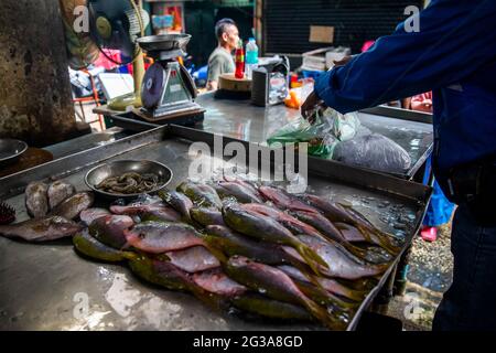 Un monteur de poisson trie par une livraison fraîche de poisson entier pendant qu'un homme passe dans la rue dans un marché humide de Bangrak à Bangkok, en Thaïlande. Banque D'Images