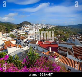 Une vue sur Bougainvillea de Frigiliana, décrite comme 'le plus beau et le plus bien conservé village de la douleur'. Province de Malaga, Andalousie, Espagne Banque D'Images