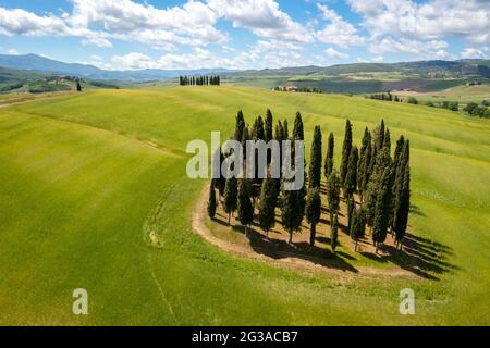 Vue aérienne des célèbres cyprès de San Quirico d'Orcia au printemps. Val d'Orcia, Toscane, Italie. Banque D'Images